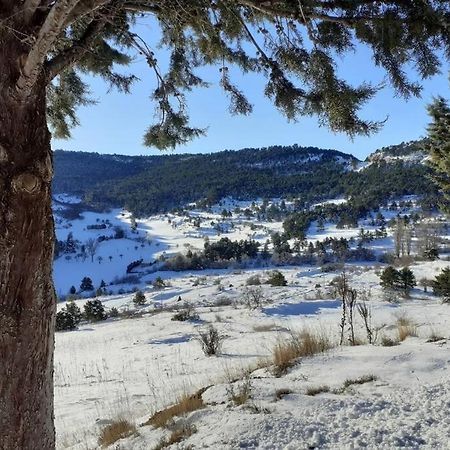 Apartamento Solano - Virgen De La Vega - Alcala Ideal Montana Y Relax Теруел Екстериор снимка